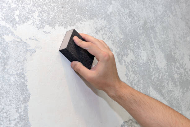 Best Mold Damage Restoration  in Brownsville, TX