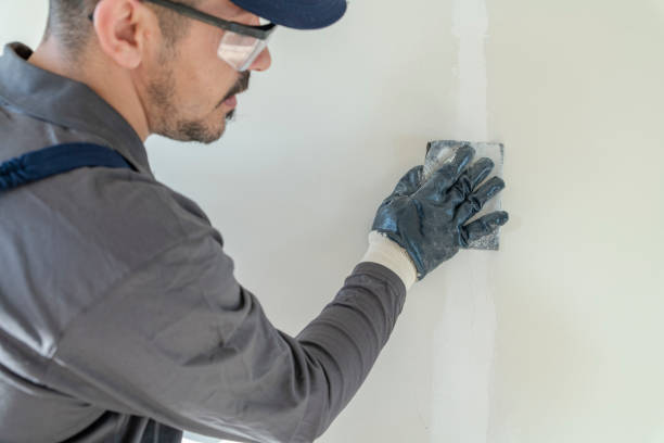 Mold Documentation for Insurance Claims in Brownsville, TX