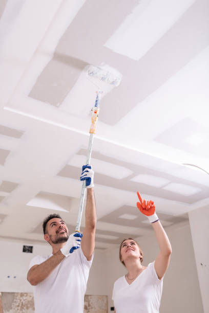 Brownsville, TX Mold Removal Company