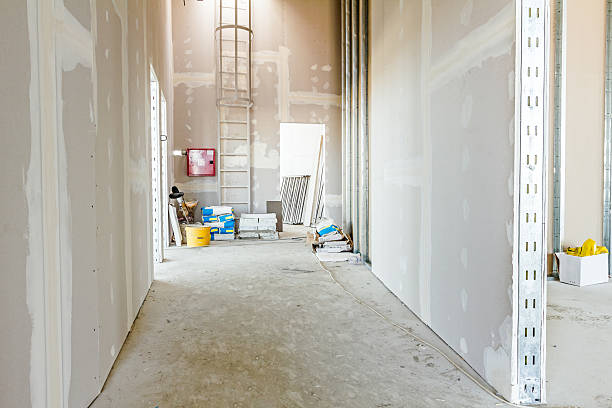 Best Mold-Related Health Consultation  in Brownsville, TX